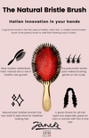Medium Pneumatic Natural Bristle Hairbrush SP22SF - Janeke